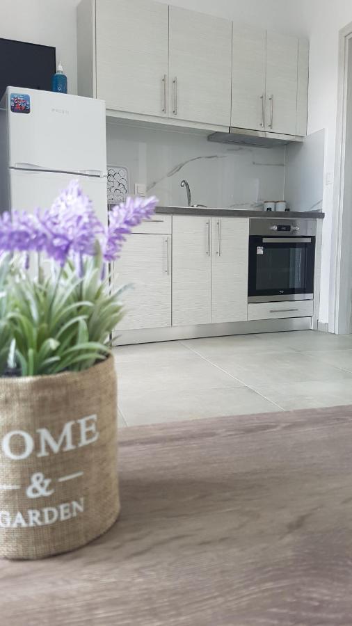 Erika Boutique Apartments Nikíti Kültér fotó